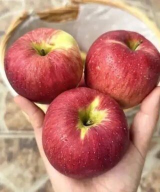 Doctors reveal that eating an apple every night causes…
