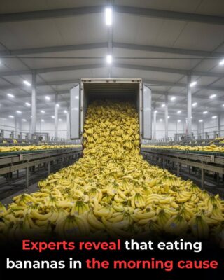 Play Experts reveal that eating bananas in the morning cause