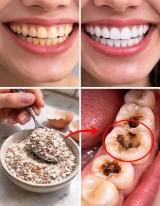 The Eggshell Teeth Whitening Myth: Separating Fact from Viral Fiction