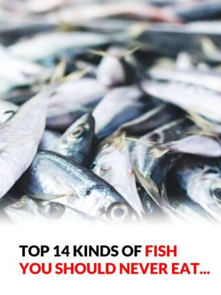 WARNING — STOP EATING THIS FISH IMMEDIATELY: A COMPLETE HEALTH ALERT & SCIENCE REVIEW (WHAT YOU MUST KNOW BEFORE IT’S TOO LATE)