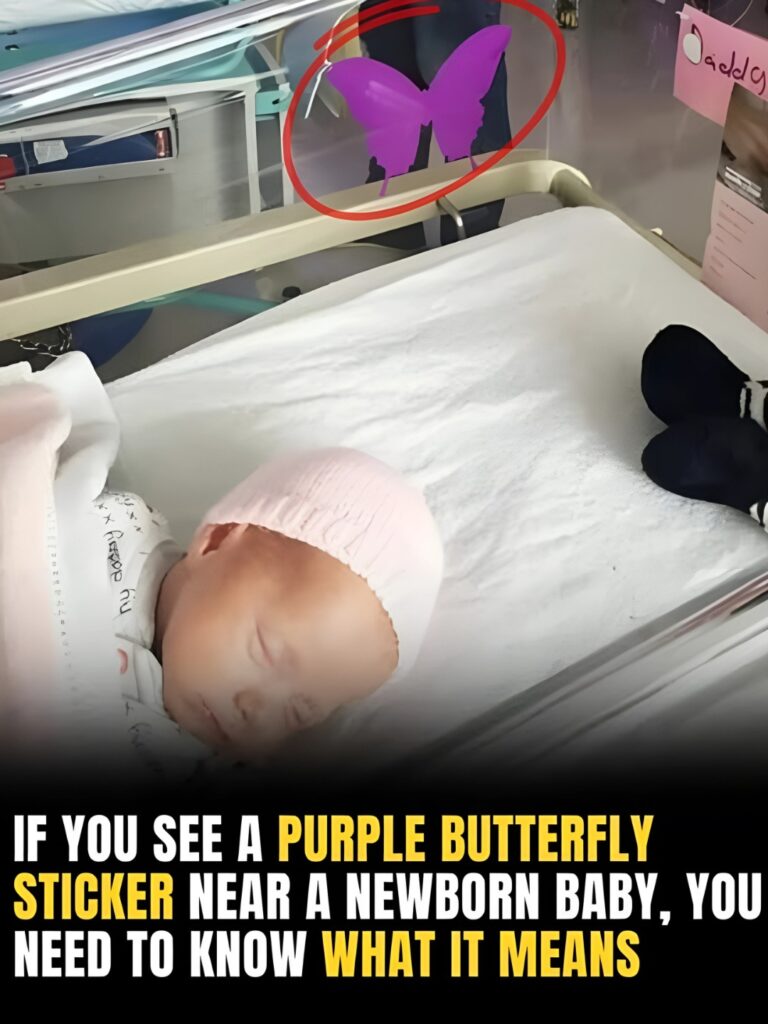 If You See a Purple Butterfly Sticker Near a Newborn, Here’s What It Means