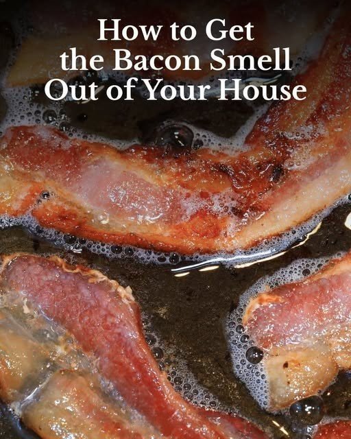 Learn the Easiest and Hassle-Free Way to Cook Bacon