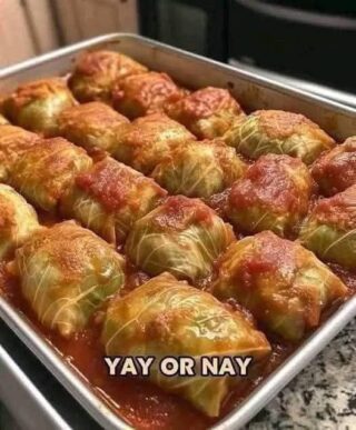 Stuffed Cabbages Rolls