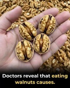 Proven Health Benefits of Walnuts — How Many to Eat, When, and Why (Science-Backed!)