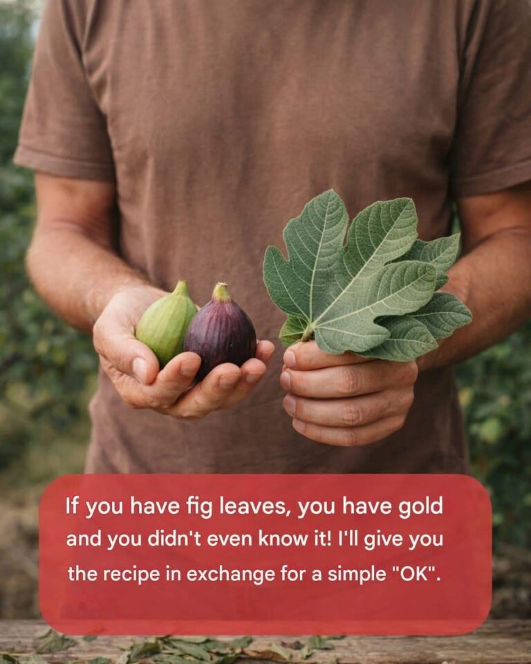 The Power of Fig Leaves: A Forgotten Superfood with Remarkable Health Benefits