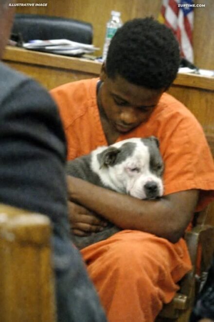 Search Results for: The Dog Knew the Truth Before Anyone Else Did